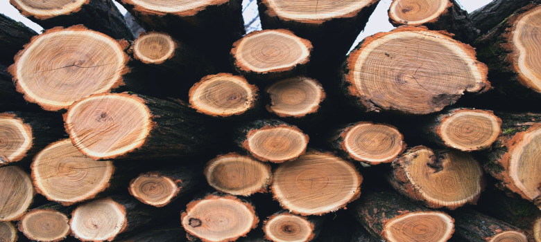 Whirlpool heizen mit Holz
