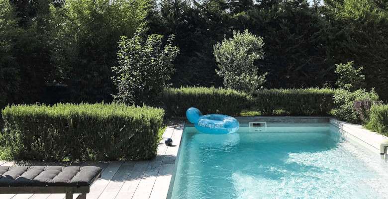 Ein Pool an der Grenze zur Nachbarhecke