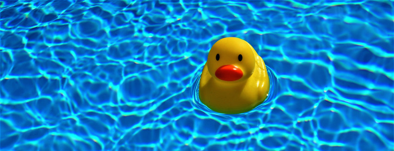 gelbe Gummiente schwimmt im Pool: Pool entleeren, um danach sauberes Wasser zu haben