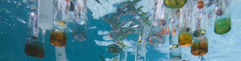 Weihnachten im Whirlpool mit Getränken