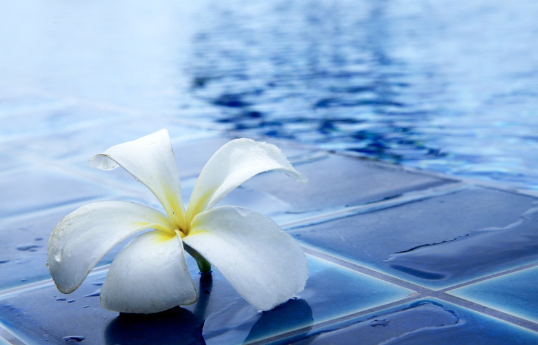 Pool mit Blume und gutem Wasser wegen Zirkulationspumpe