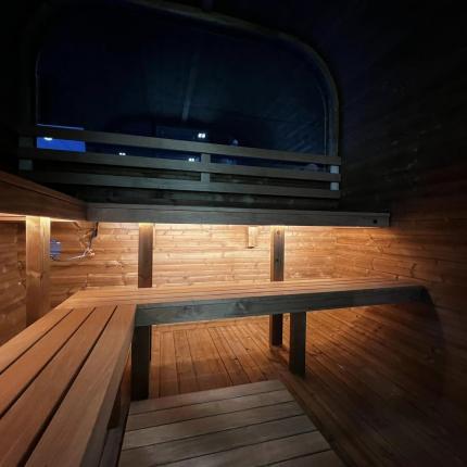 Aussensauna Panorama Thermoholz 250 **Package DEAL**