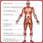 Anatomie Physiotherapie