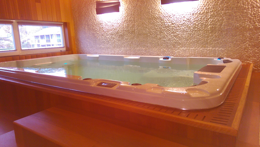 Swim Spa Aqua 1