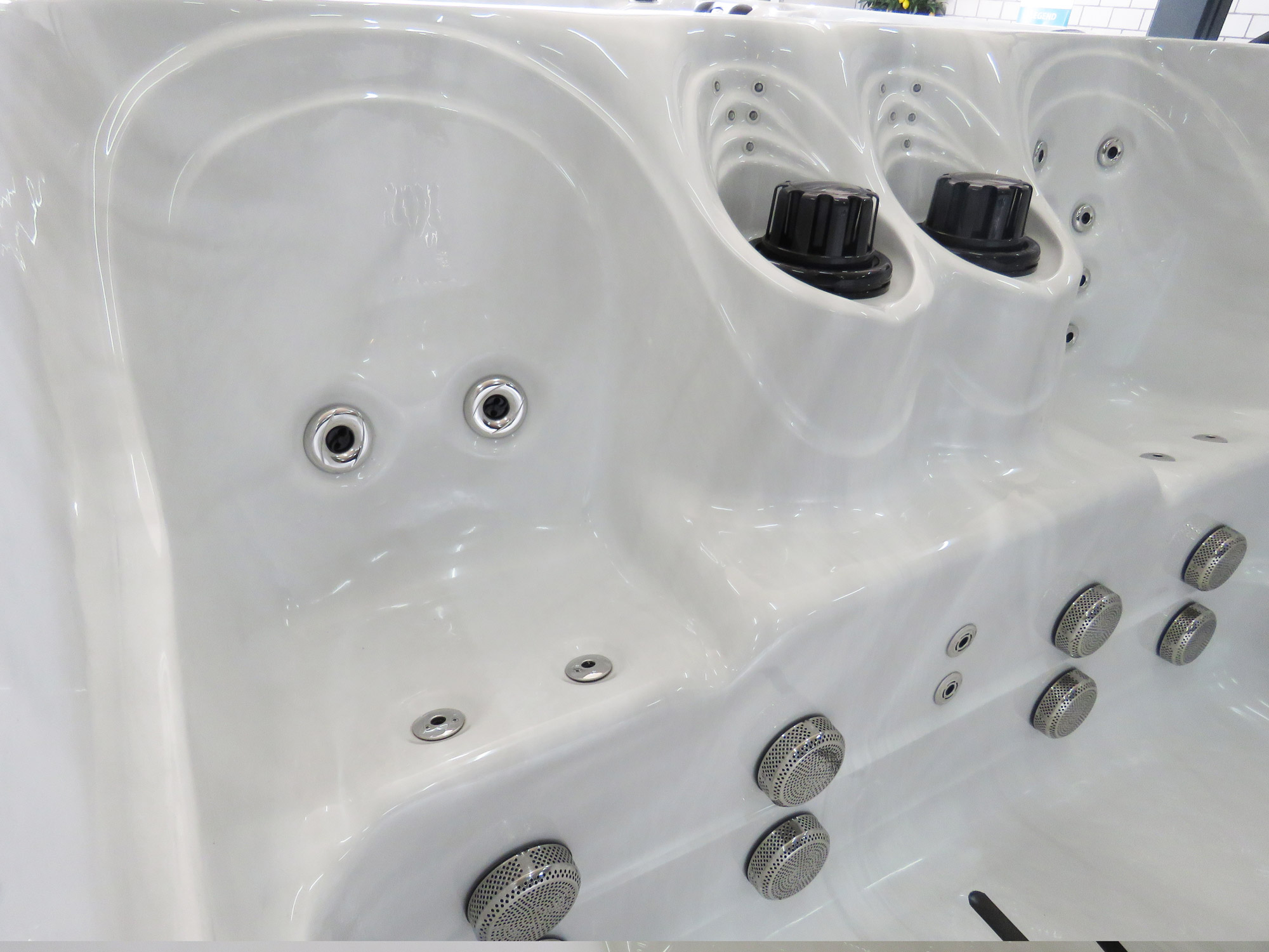 Swim Spa Michigan - 152cm **Premium Version**