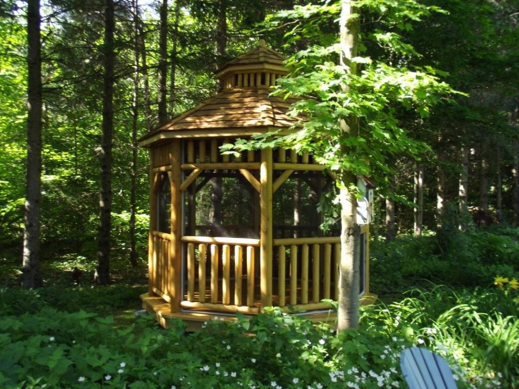 Pavillon Weisszeder
