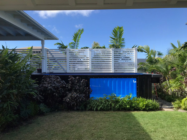 Swim Spa Container mit Fenster **inklusive Rollabdeckung**