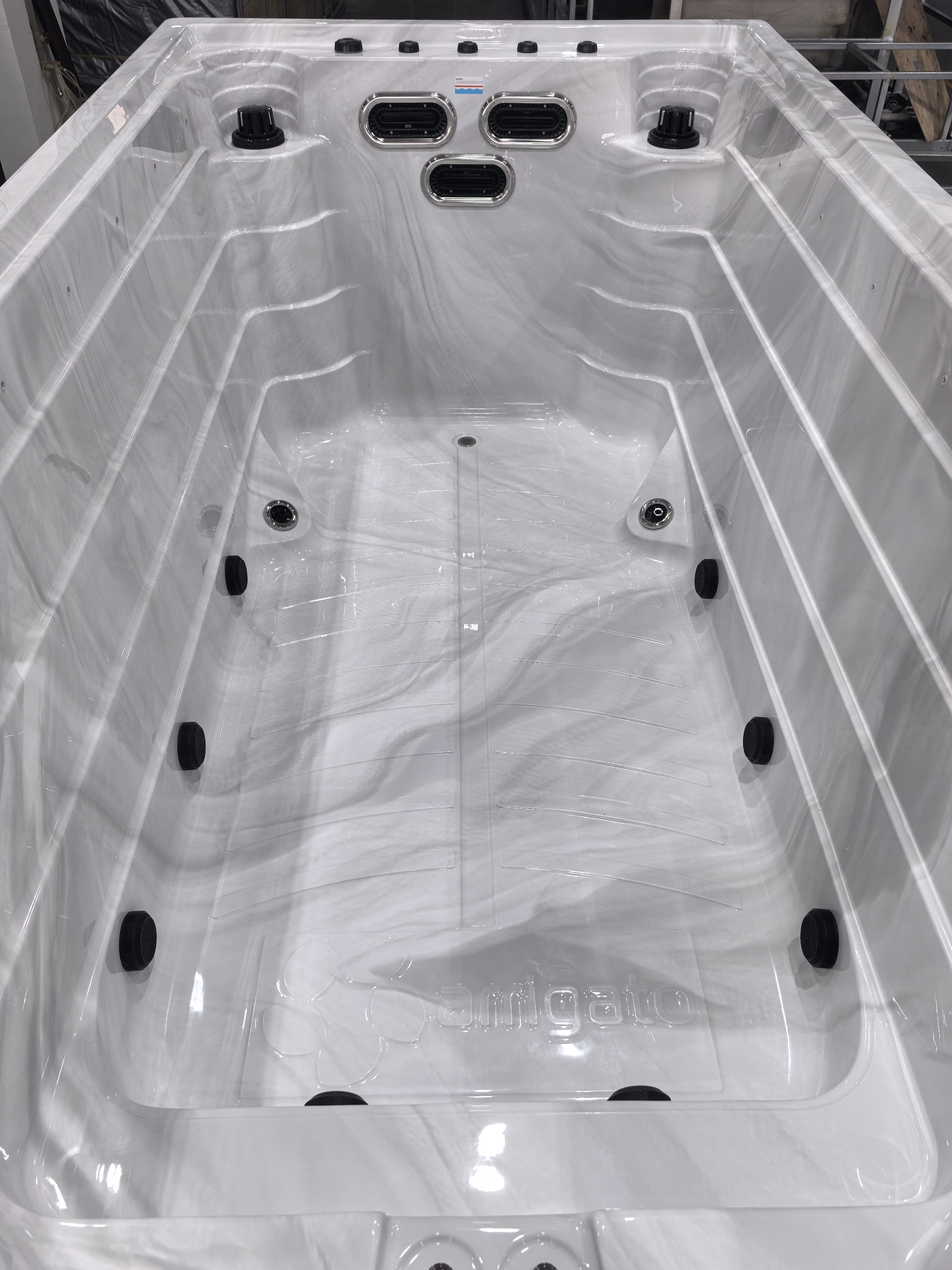 Swim Spa Fremont**Game Changer Version**