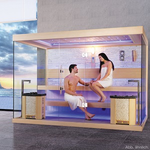 sauna-kaufen-glas-ruckwand-sandstein